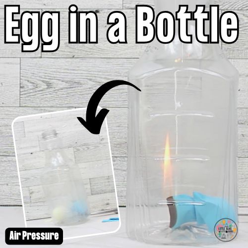 Egg In A Bottle