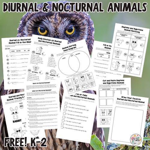 Diurnal and Nocturnal Animal Activities