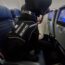 United Airlines Massive Service Dog