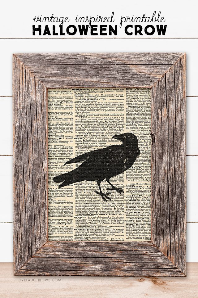 Add a simple halloween statement to your fall decor with this vintage inspired halloween crow printable. And free is always good! livelaughrowe.com