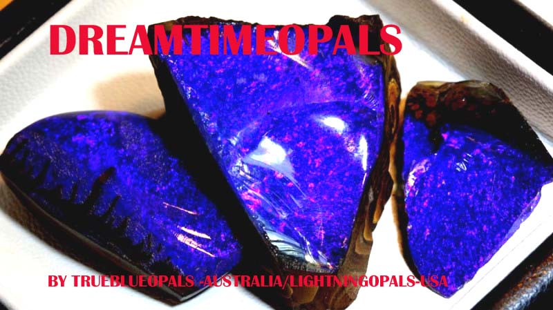 dreamtimeopals