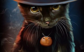 Black Halloween Cat