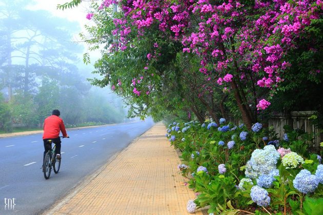 dalat photos cloudy (12)