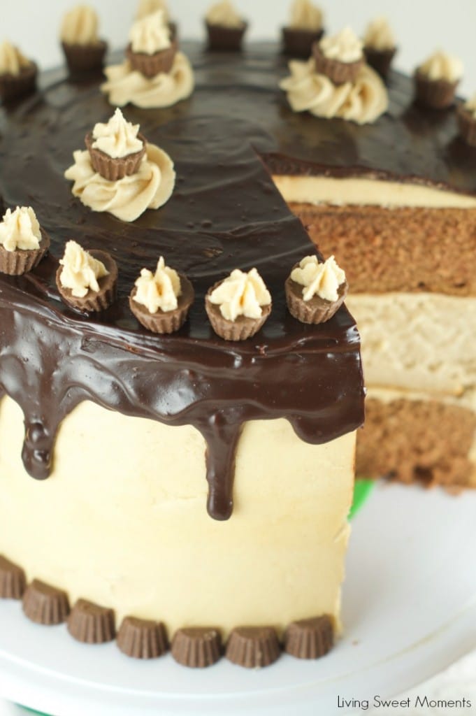 Chocolate Peanut Butter Cheesecake Cake - This is amazing cake features 2 chocolate cakes, a peanut butter cheesecake all covered in peanut butter buttercream and drizzled with chocolate ganache. The ultimate dessert. Find more at www.livingsweetmoments.com