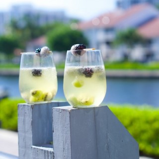 Tropical Moscato Sangria: delicious bubbly moscato with chunks of kiwi, dragon fruit and blackberries. The perfect summer cocktail drink for summer parties.