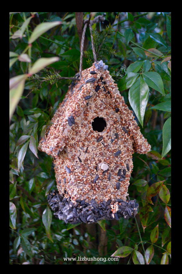 Bird House finished lizbushong.com