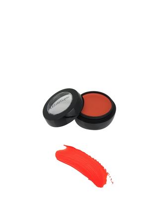 Picture of Orange Camouflage Concealer