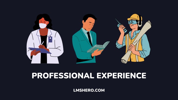 Professional Experience