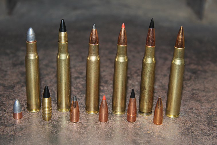 Modern Varmint Loads for the .30-06 Springfield | Load Data Article