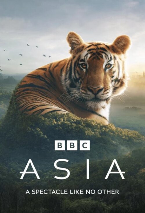 Asia (season 1)