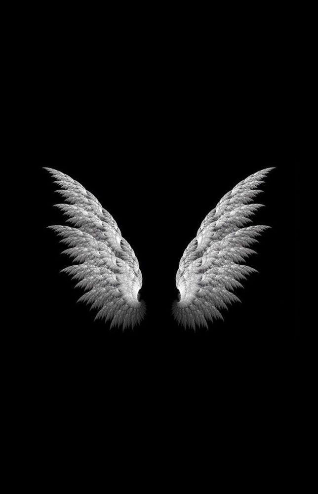 Black and White Angels Logo - LogoDix