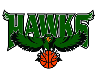 Green Hawk Logo - Hill Country Hawks Green B Silver. Tournament for Hope