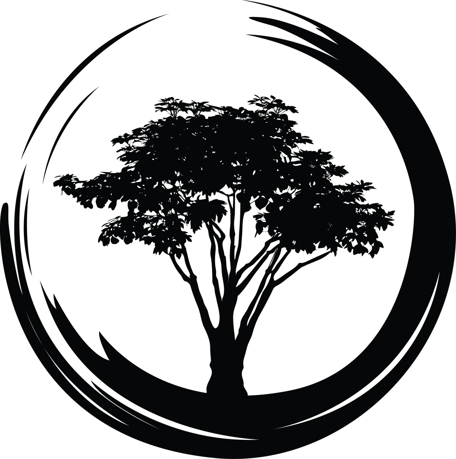 Ide Top Logo Arbre Noir