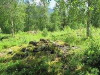 Motiv fra Frygne gravfelt sør i Nore, som er fra folkevandringstiden. Foto: Stig Rune Pedersen