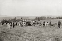 Gunheim gamle skule. Foto: Ukjent/Kulturminnesøk