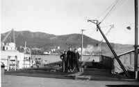 M/F Haalogaland under bygging. Jann Sørensen, Halvard Nergård og Erik Eriksen står på bjelkelaget som skal bære bildekket. I bakgunnen ser vi Mercur (sildoljefabrikk) på Gangsås. Foto ukjent, utlånt av Anny Sørensen