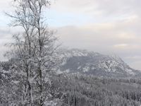 Skagsåsen i Nore. Foto: Stig Rune Pedersen