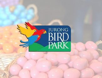 Jurong Bird Park