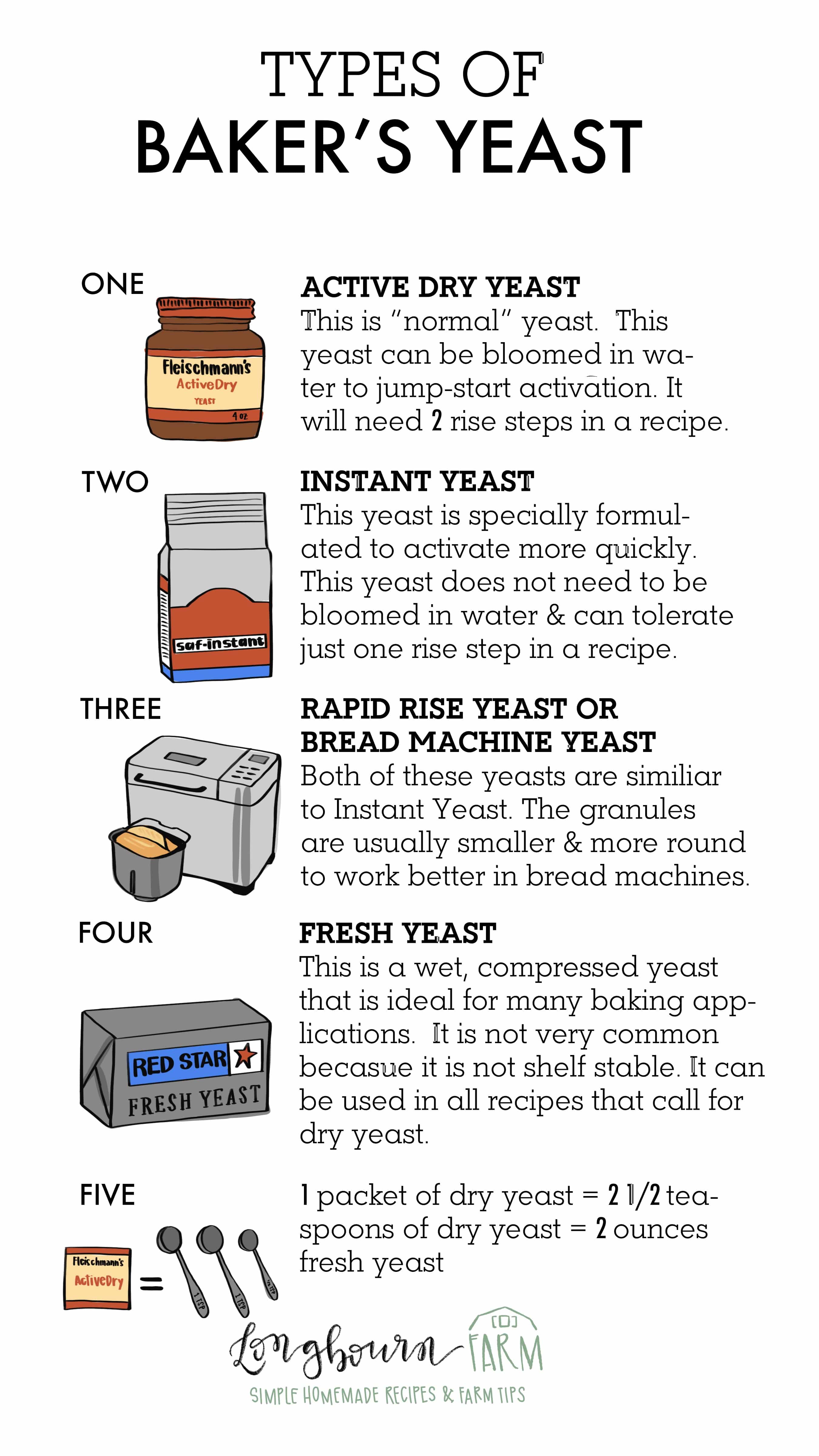 Do you know the different types of baker's yeast and when to use them? Read this post to know exactly what type of yeast you should use and when! #yeast #yeastrecipes #yeastbread #activedryyeast #instantyeast #whatisyeast #bakingyeast #yeastpacket