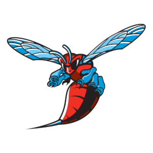 Delaware State Hornets logo PNG