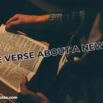 bible_verses