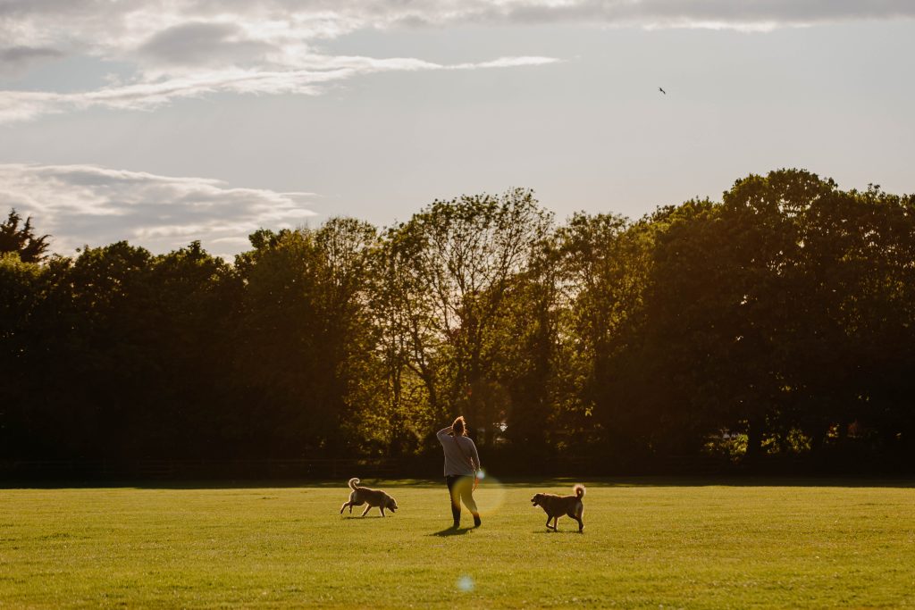 A woman walks her dogs at West Park, Bognor Regis. 24th May 2022.