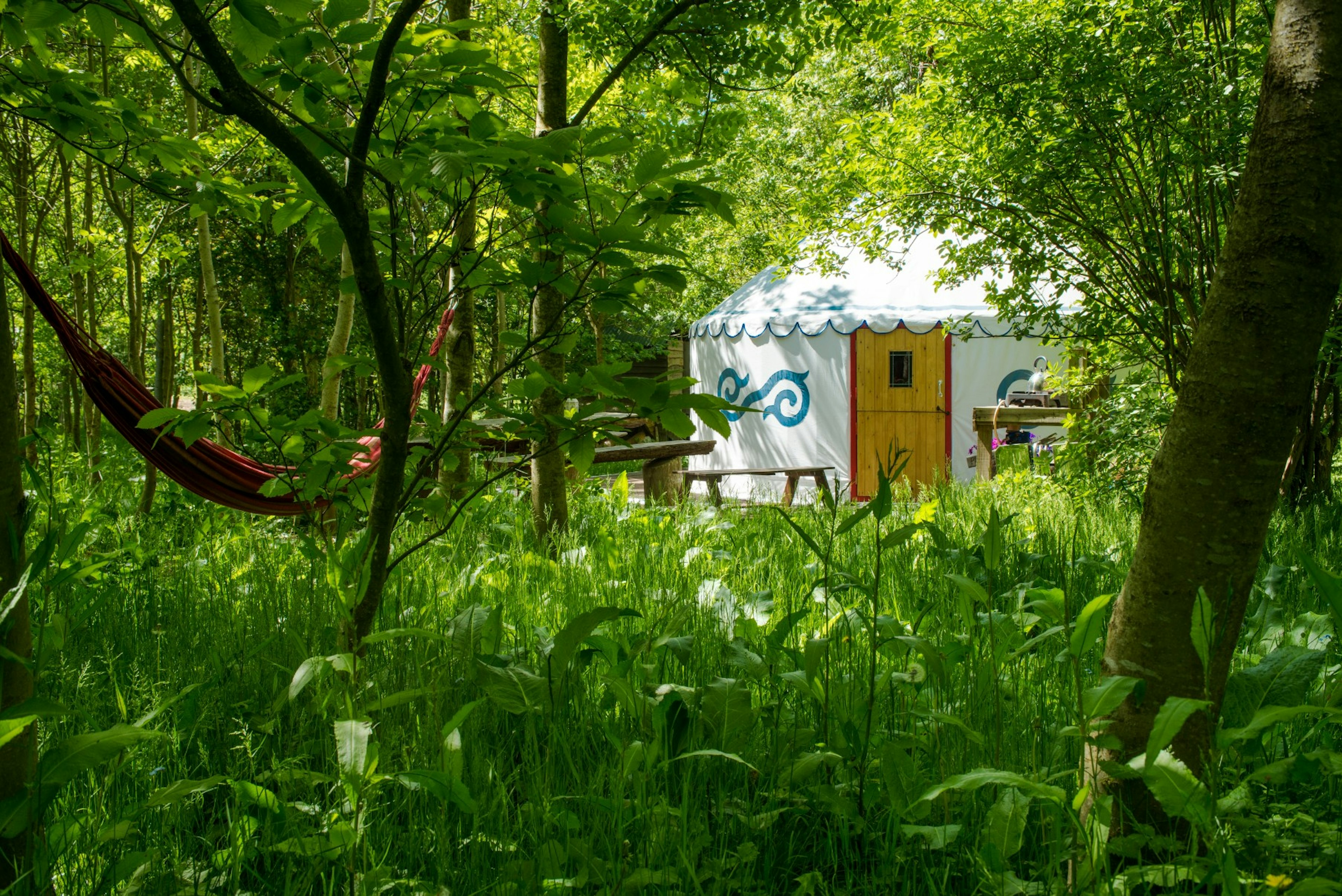 A round free-standing tent stands in secluded leafy woodland