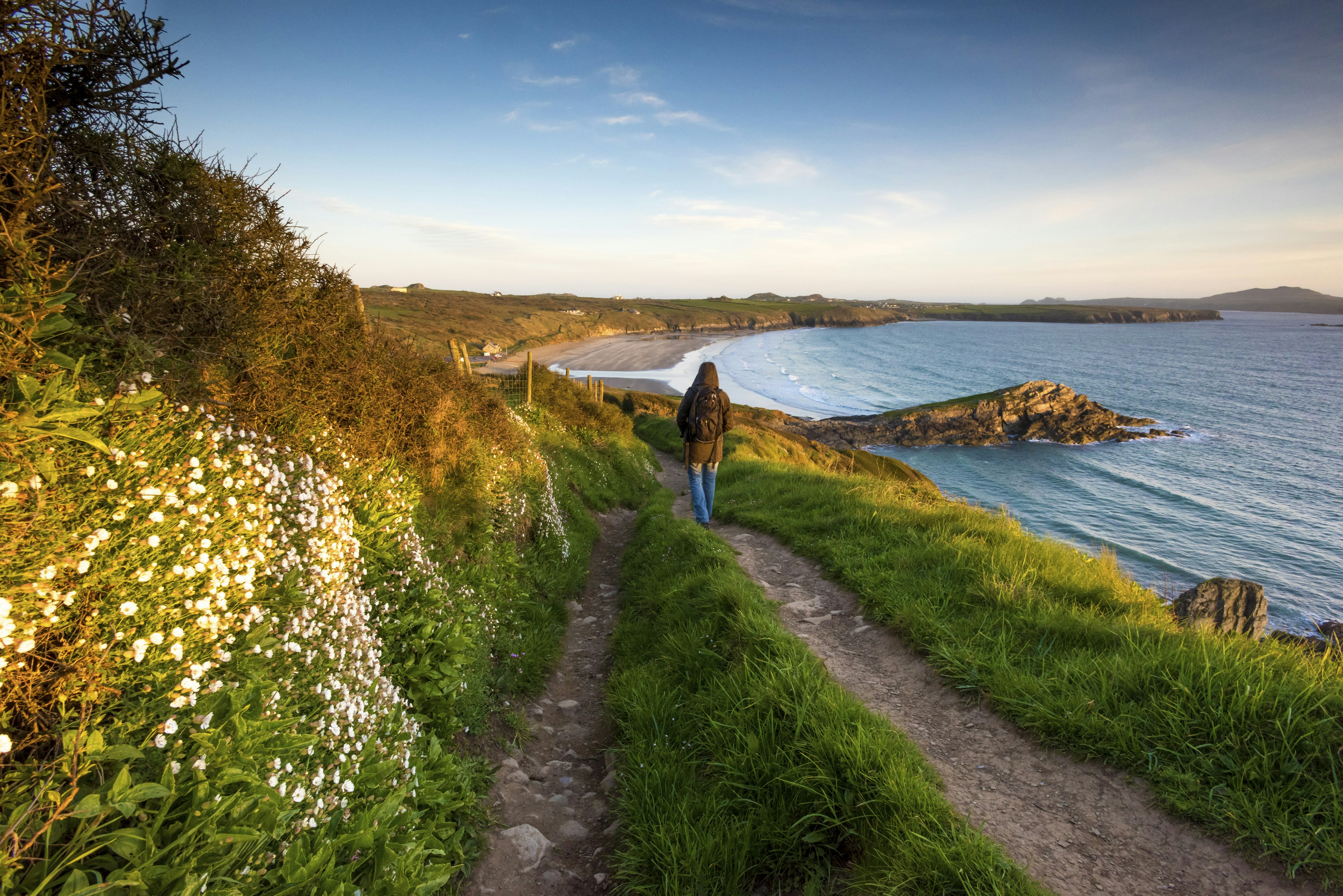 Walker on the Pembrokeshire coast path at Whitesands near St Davids, Wales