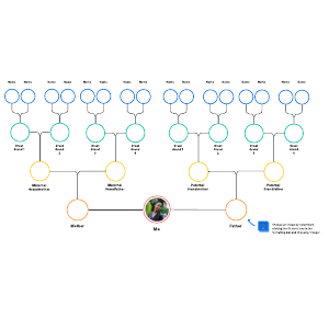 Family Tree | Lucidchart