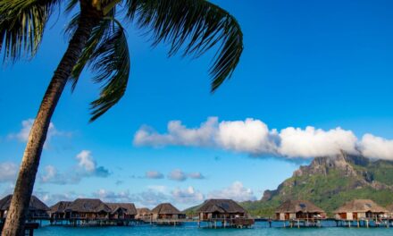 Grafting Coral in Bora Bora Paradise