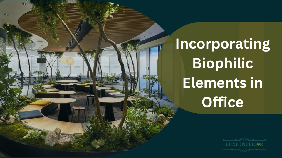 Incorporating Biophilic Design in Office Interiors