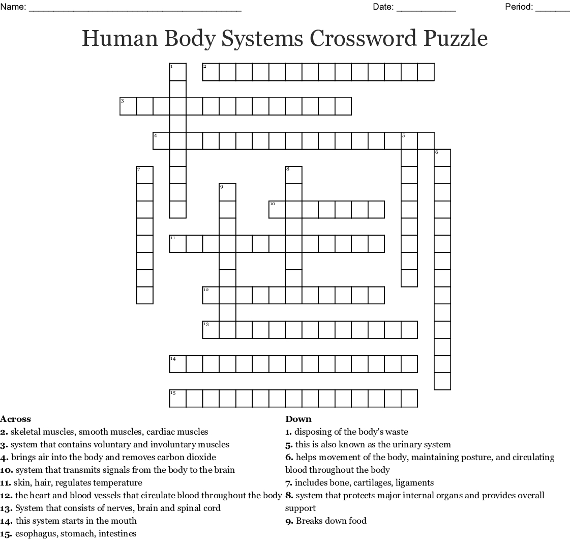 Free Printable Crossword Puzzles Body Parts | Printable Crossword Puzzles