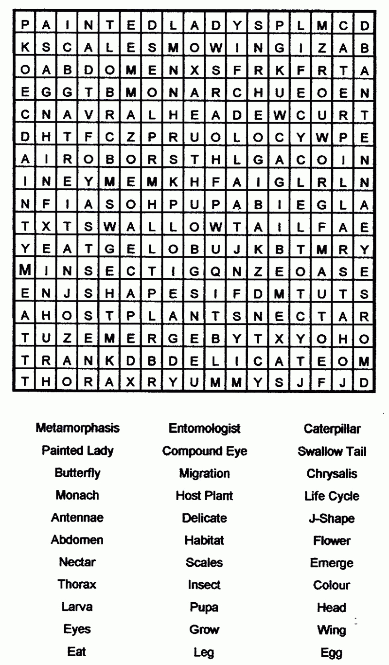 Printable Word Search Puzzles Large Print