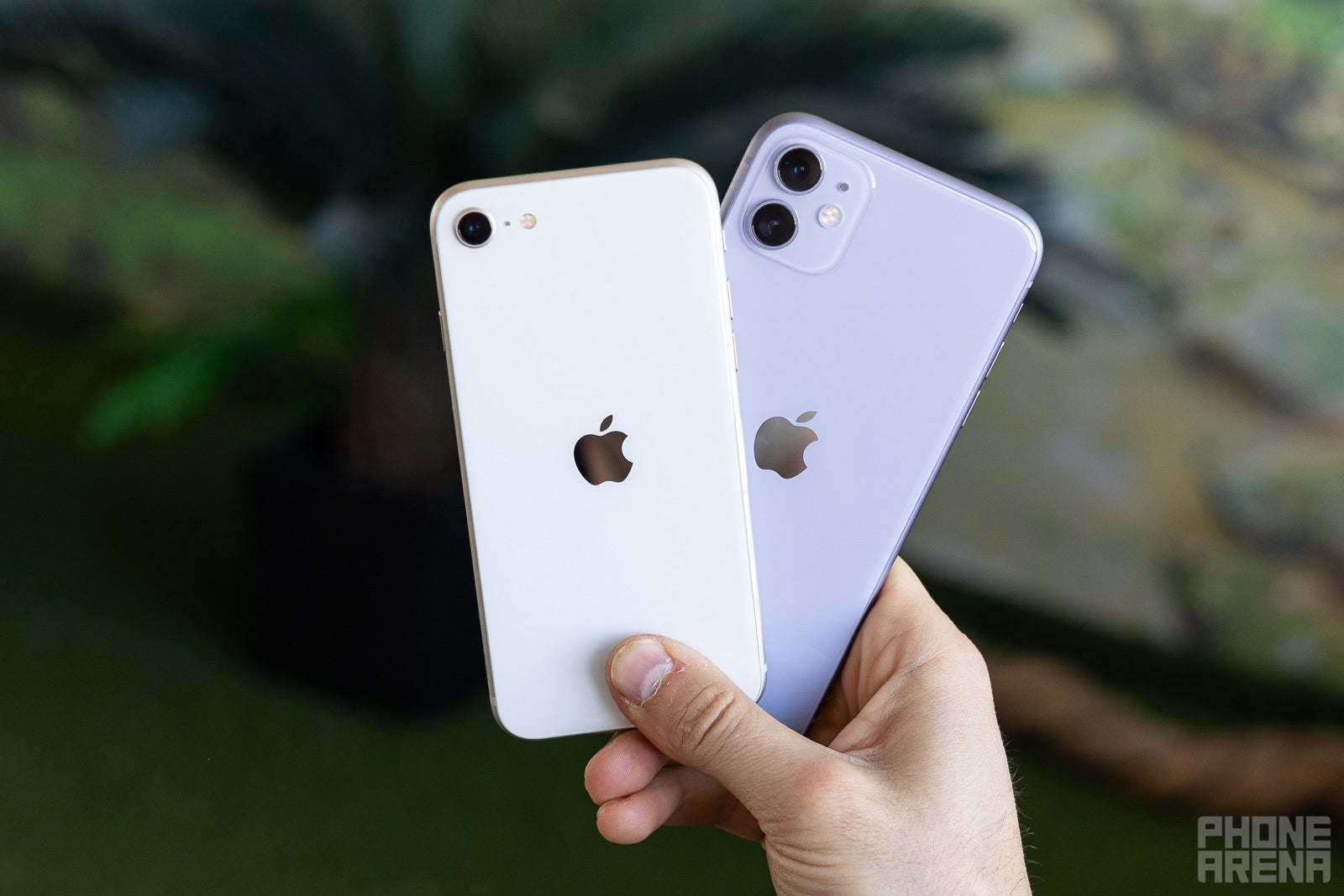 iPhone SE (2022) vs iPhone 11