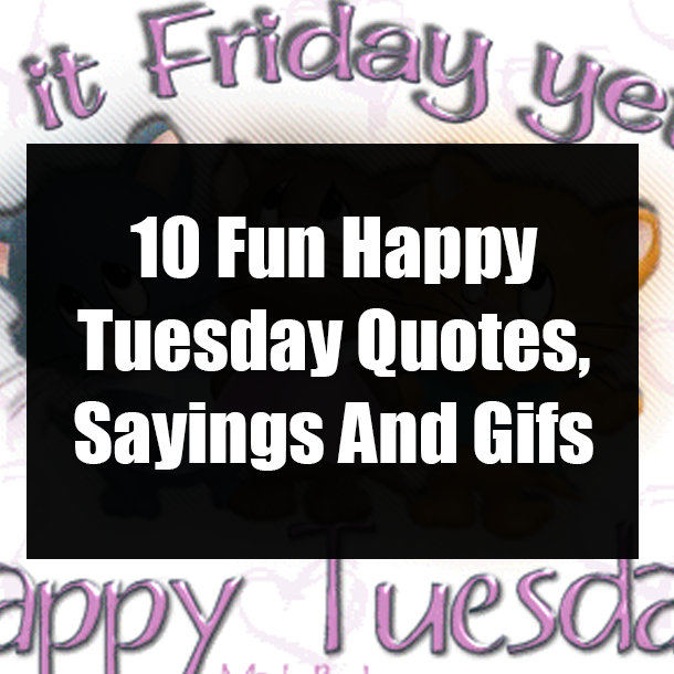 Happy Tuesday Quotes Funny