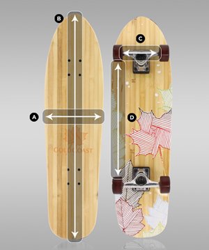 skateboard front and back