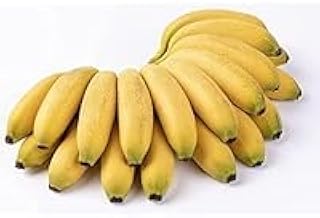 Fresh Apple Banana I Baby Banana I 100G