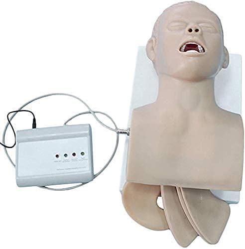 Buy CPR Training Manikin,110-220v Adult Electronic Tracheal Intubation ...