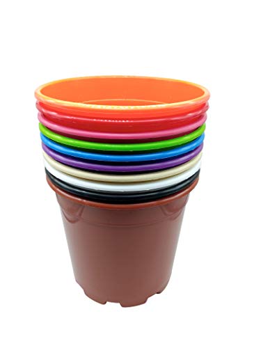 MURGIPLAST Macetas de plástico para Plantas y Flores, maceteros Decorativos de jardín, contenedores de Cultivo de Colores, 22 cm, 12 Unidades