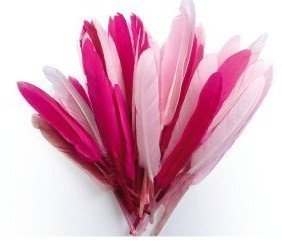 10 g Indian Rose Feathers 150 mm