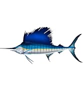 Sail Fish Beautiful Fish Decal | Fishing Decal for Boat, Car, Vehicle, Truck Etc. | Waterproof Vi...