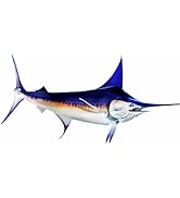 Sword Fish Beautiful Fish Decal | Fishing Decal for Boat, Car, Vehicle, Truck Etc. | Waterproof V...