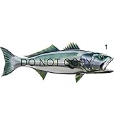 White Seabass Beautiful Fish Decal | Fishing Decal for Boat, Car, Vehicle, Truck Etc. | Waterproo...