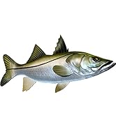 Snook Beautiful Fish Decal | Fishing Decal for Boat, Car, Vehicle, Truck Etc. | Waterproof Vinyl ...