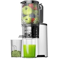 EanOruus 400w Slow Juicer Machines with 5.4