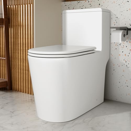 Dual Flush Elongated Standard One Piece Toilet with Comfortable Seat Height, Powerful & Quiet Dual Flush Modern Toilet, 12'' Rough-In, Glossy White，6651