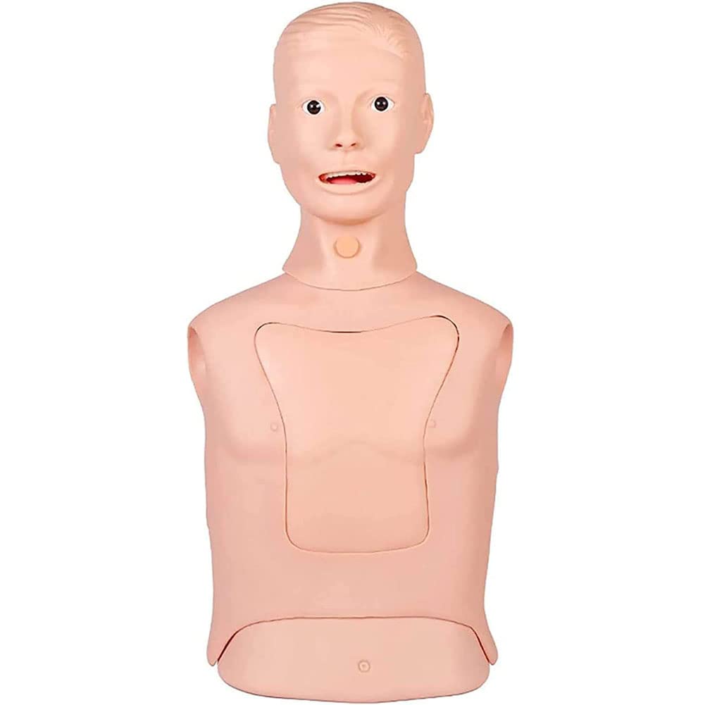 Buy JUCHENG Silicone Adult Intubation Manikin Teaching Model, Advanced ...