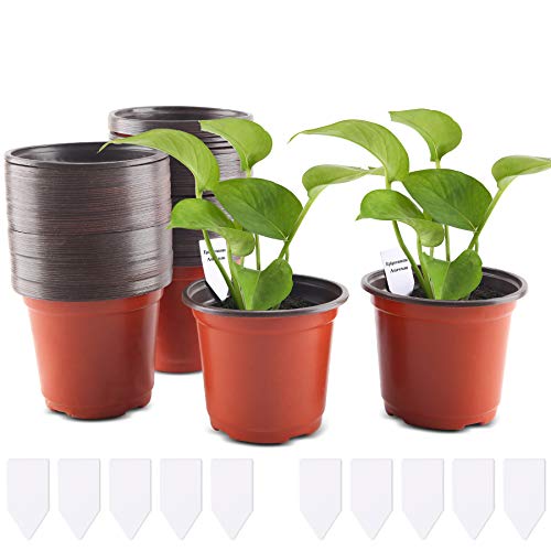 FORMIZON 100 Piezas Macetas de Plástico, 10 cm Plantas Pequeña Macetas de Vivero de Plástico con 10 Etiquetas, Macetas de Plástico para Plantas, Flores y Jardinería