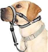 Reflective Head Collar, No Pull Collar for Large Dogs, Anti-Pull Muzzle Leash for Large Sized Bre...