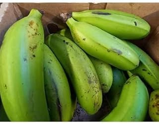 Fresh Matoke I Green Banana I From Uganda I 4KG I Half box